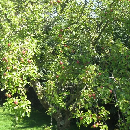 Guest house Manoir Du Petit Saint Pierre Honfleur