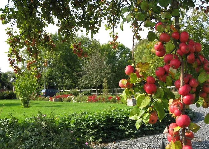 Manoir Du Petit Saint Pierre Гостевой дом *
