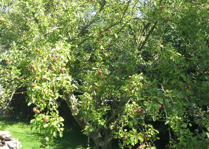 Guest house Manoir Du Petit Saint Pierre Honfleur